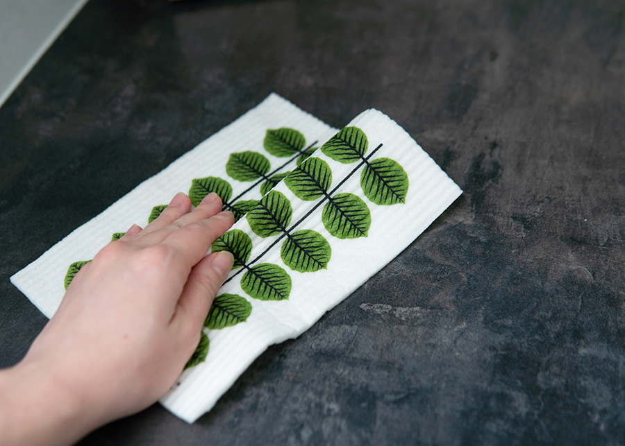 ���򿡤��Ƥ���̿�