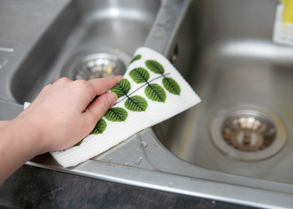 ���򿡤��Ƥ���̿�