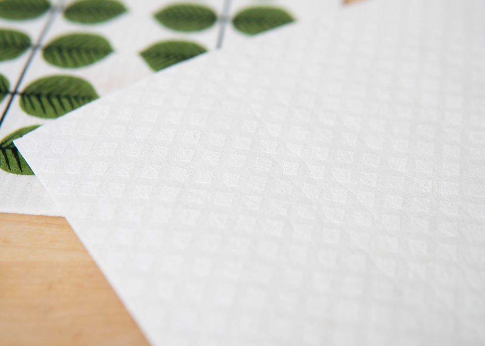 ���򿡤��Ƥ���̿�