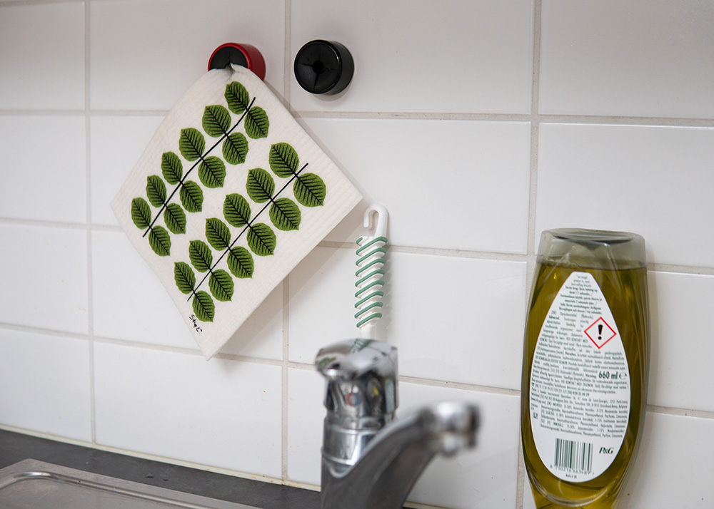 �������Ƥ���̿�