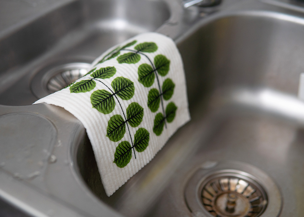 �������Ƥ���̿�