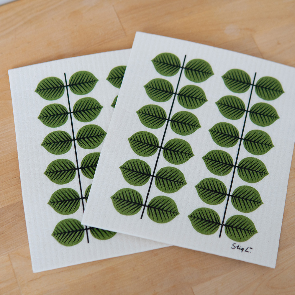 ���򿡤��Ƥ���̿�