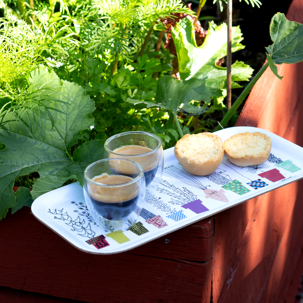 �����ꥢ��ե�������ա����󥰼̿�